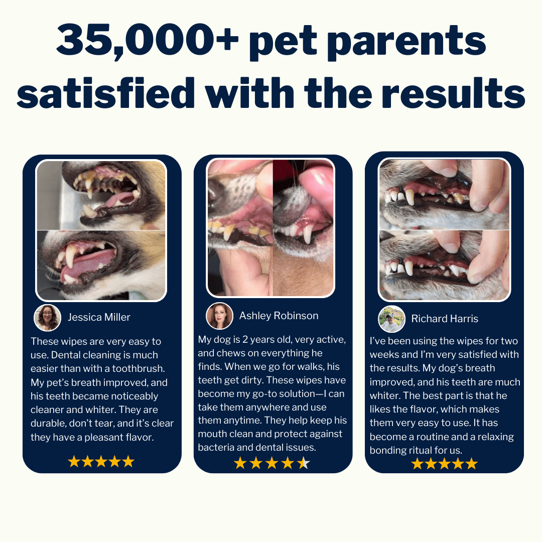 SmileyPaw™ Protects Against Dental Diseases