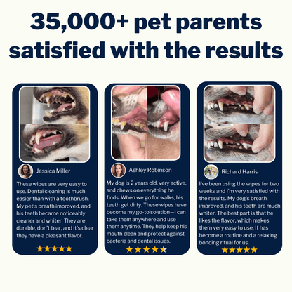 SmileyPaw™ Protects Against Dental Diseases