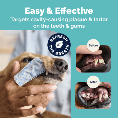 SmileyPaw™ Protects Against Dental Diseases