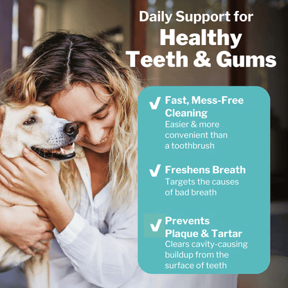 SmileyPaw™ Protects Against Dental Diseases