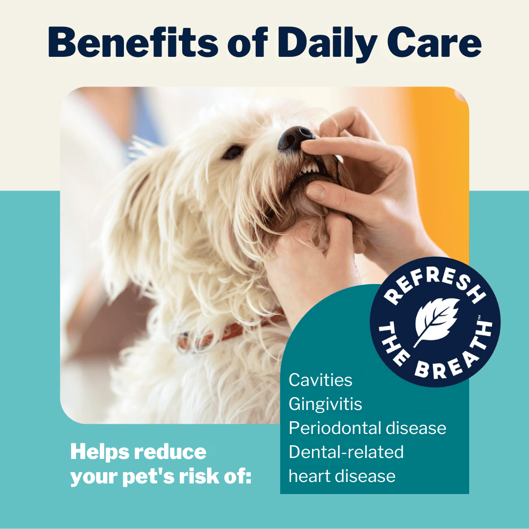 SmileyPaw™ Protects Against Dental Diseases