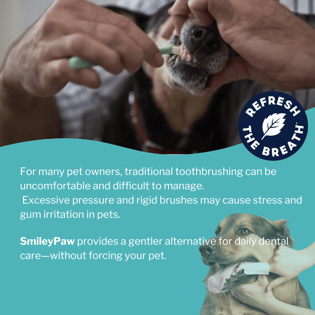 SmileyPaw™ Protects Against Dental Diseases